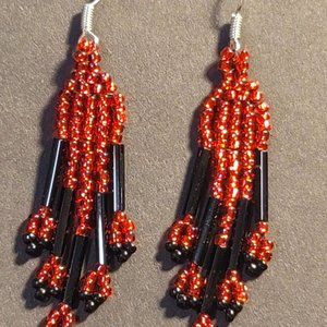 Amazing Red & Black Earrings